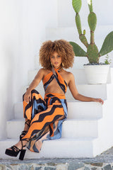 Convertible snake set