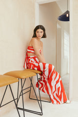 Zebra in Red Top