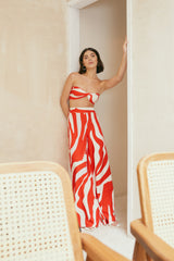 Zebra in Red Top