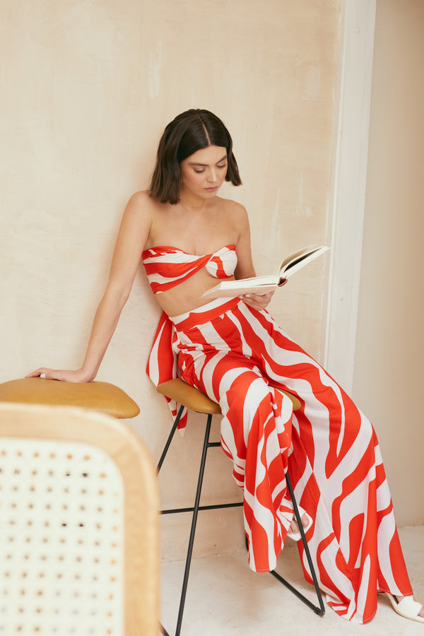Zebra in Red Top